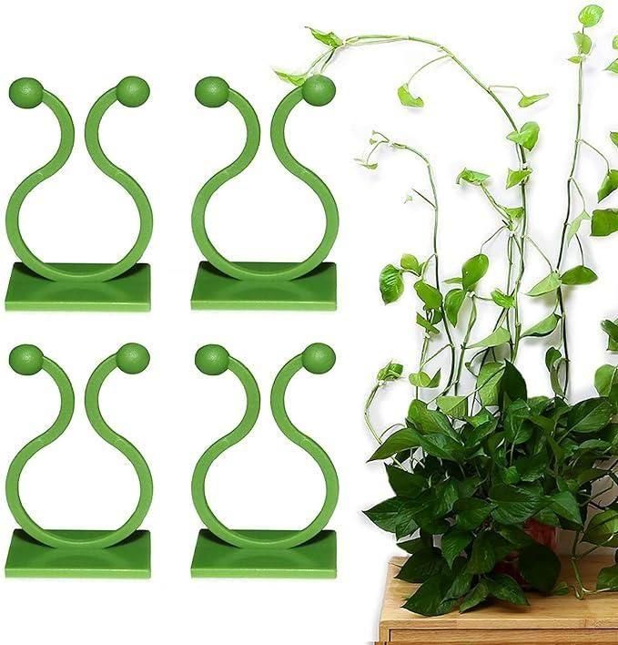 Invisible Wall Vines Fixing Clips Plant (30 Pcs)